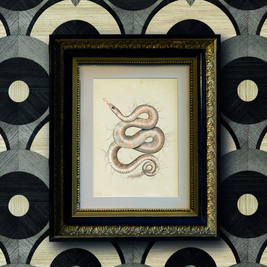 Memento Moooi