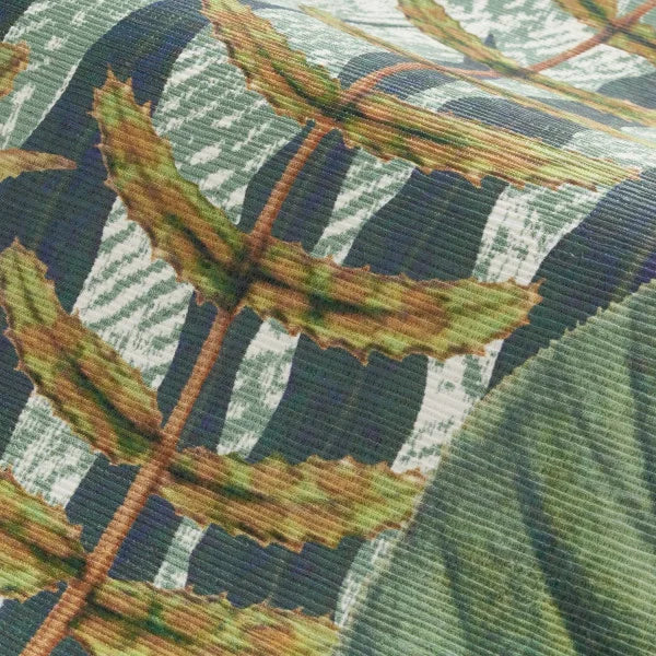 DAINTREE