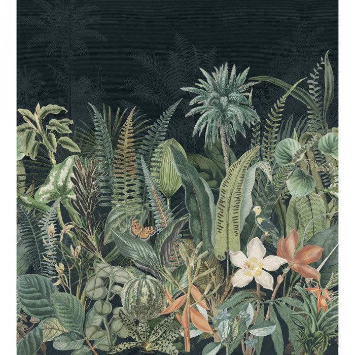 DAINTREE