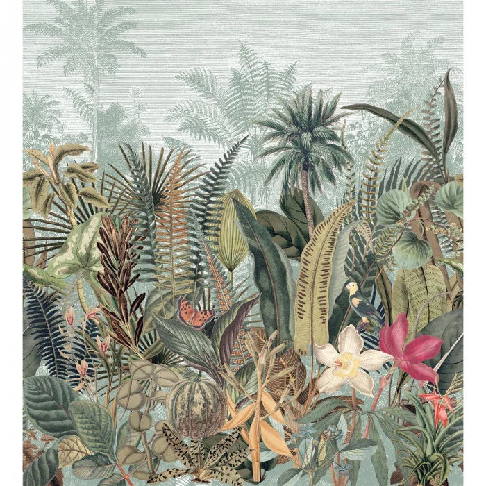 DAINTREE