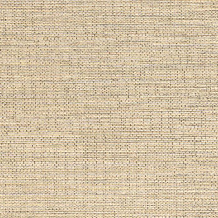 ZOSTERA