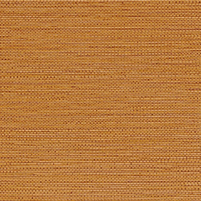 ZOSTERA