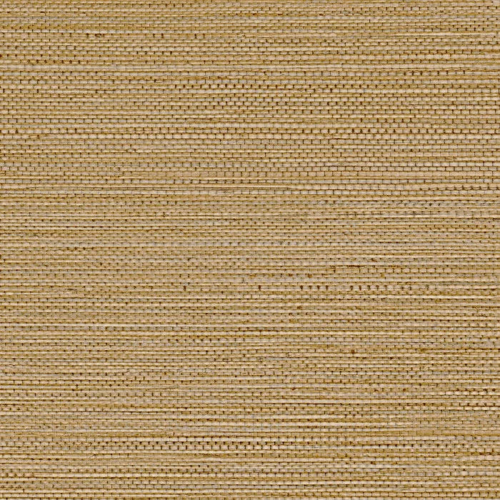 ZOSTERA