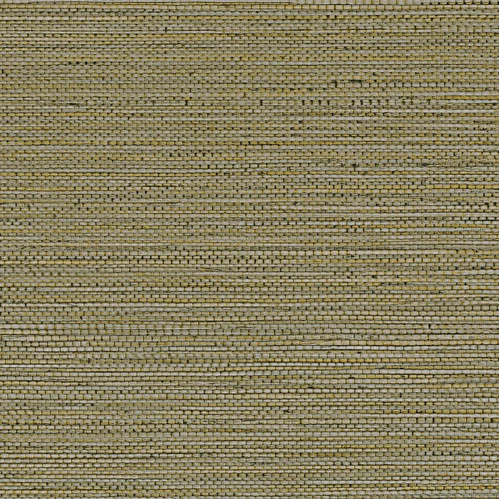 ZOSTERA
