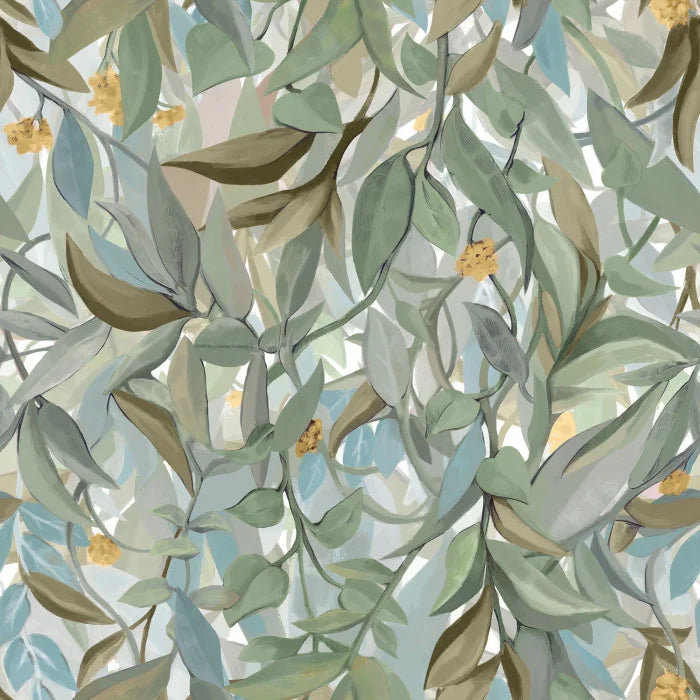 SOLANDRA