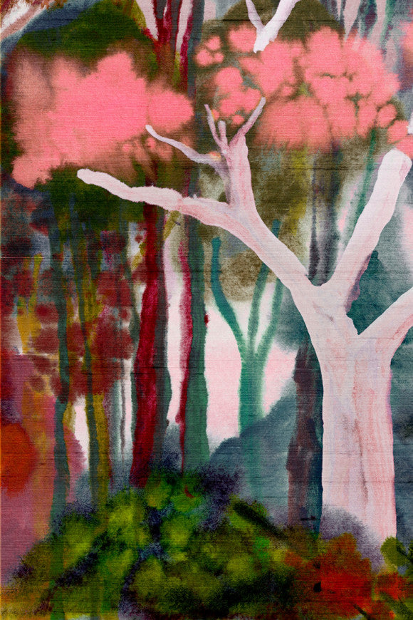 BANYAN - PANORAMIQUE