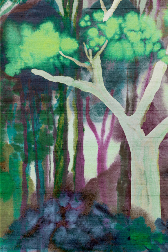 BANYAN - PANORAMIQUE