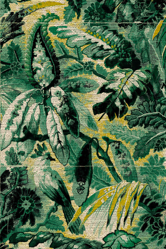 TROPICALI