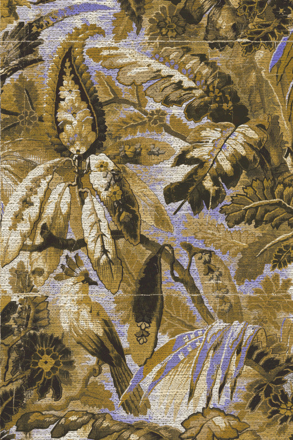 TROPICALI