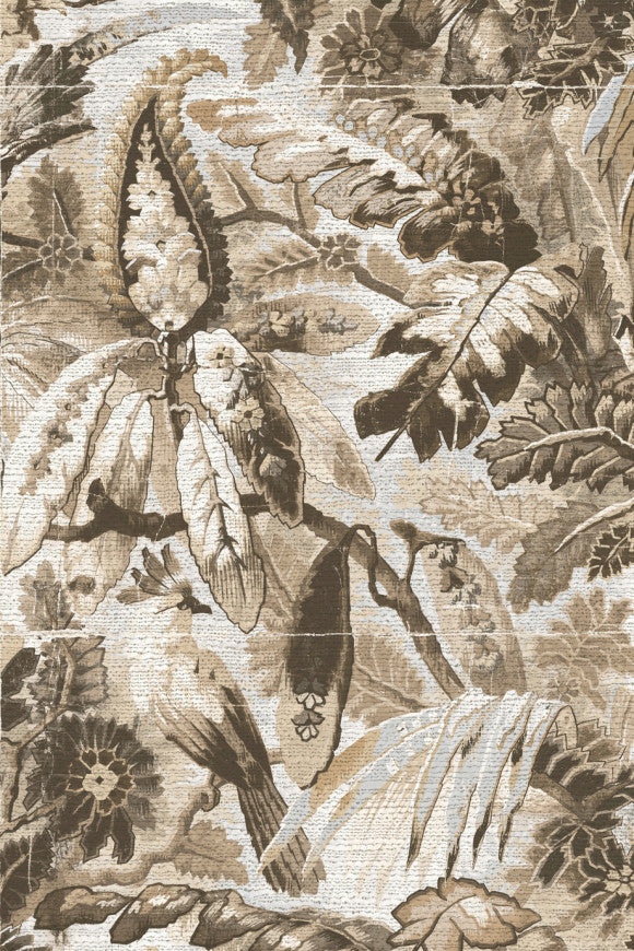 TROPICALI