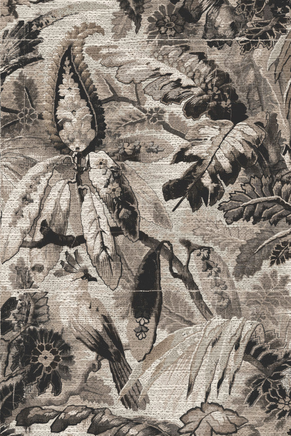 TROPICALI