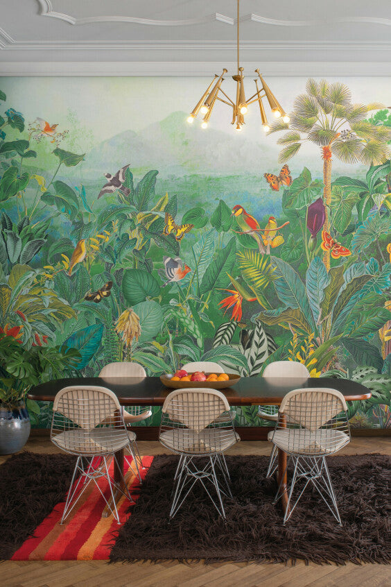 THE TROPICS