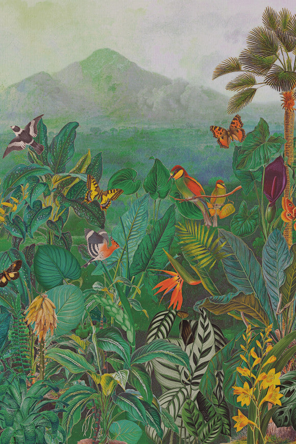 THE TROPICS