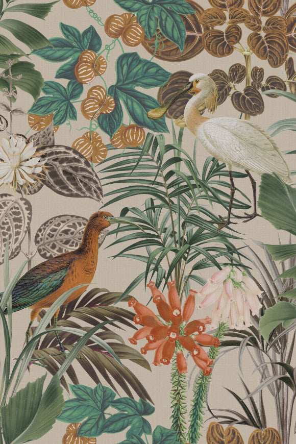 THE WADING BIRDS