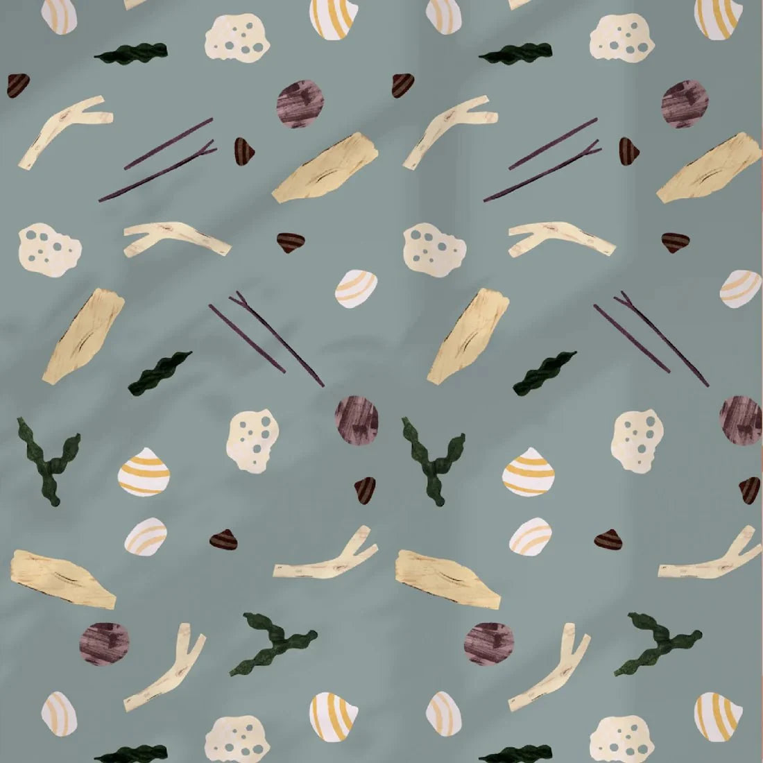 SEA AND SHELLS