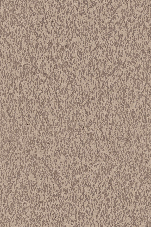 MOTION
