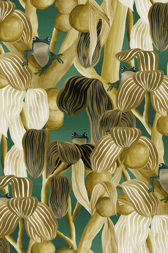 Arte LES GRENOUILLES DE CHAVROCHE – Camouflage – 97510