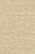 Arte CHANDERI – Almond – 91504B