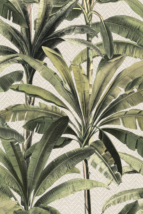 Arte PALMERA – 11140 – 11140