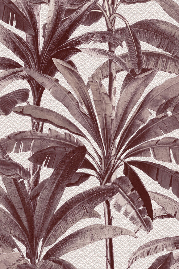 Arte PALMERA – 11141 – 11141