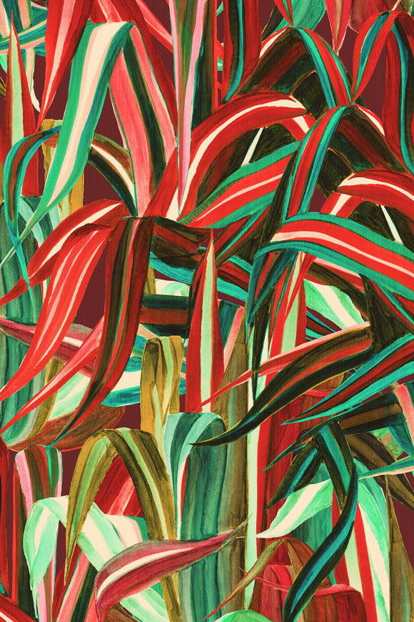 JAVA