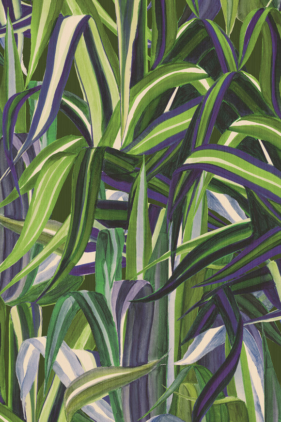 JAVA