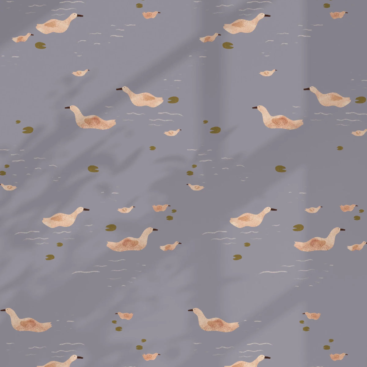 DUCKS