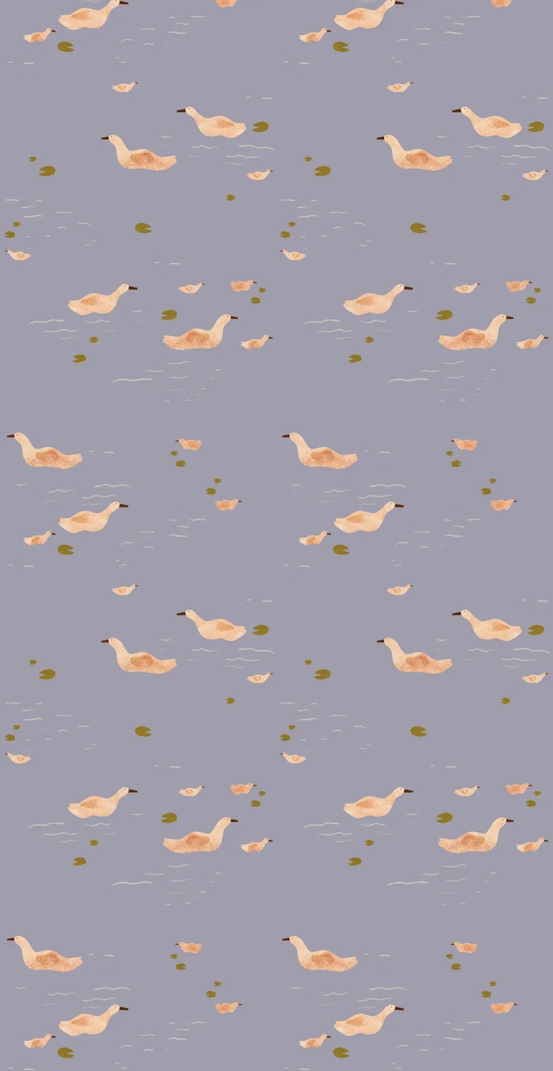 DUCKS