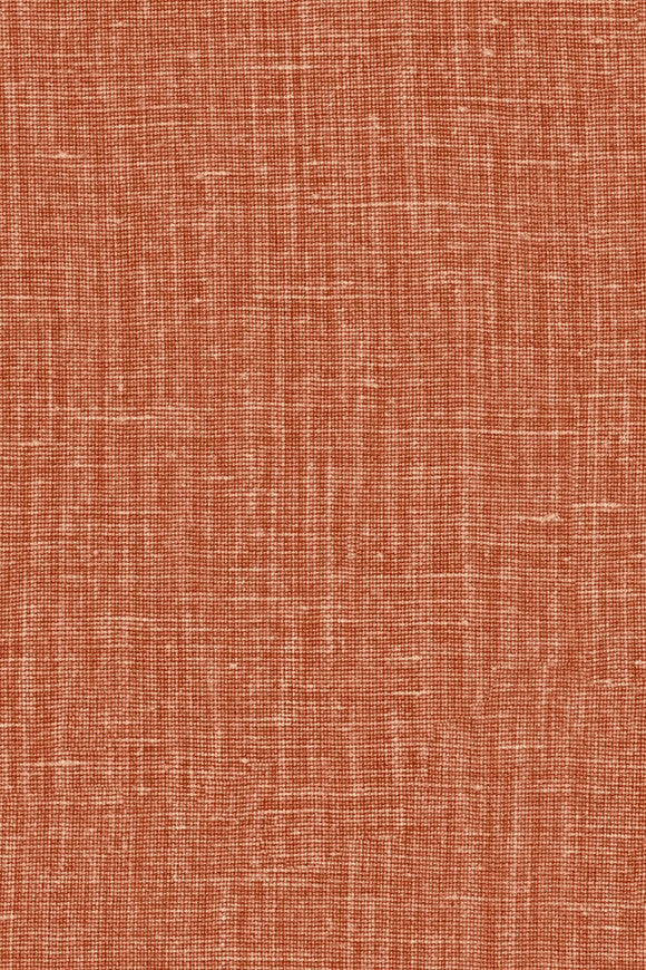 Arte GIOCO – Ginger – 40529