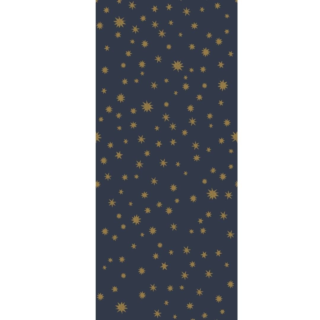 STARRY NIGHT