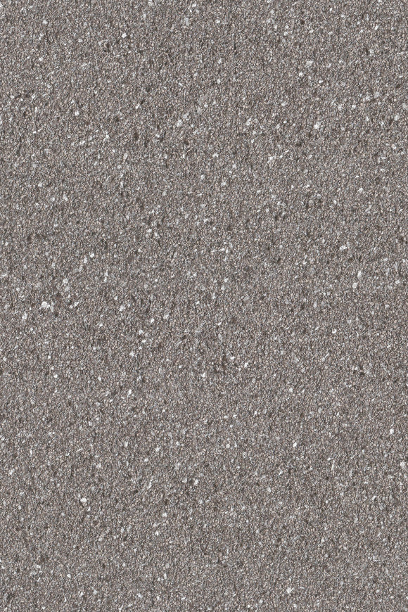 STARDUST