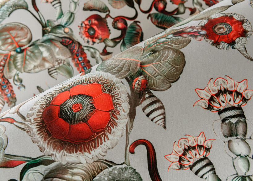 COCCINELLA BELLA