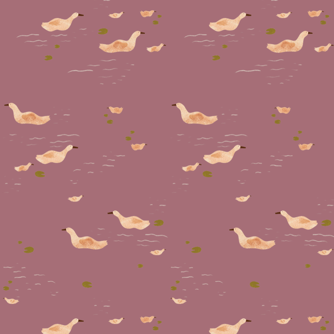 DUCKS