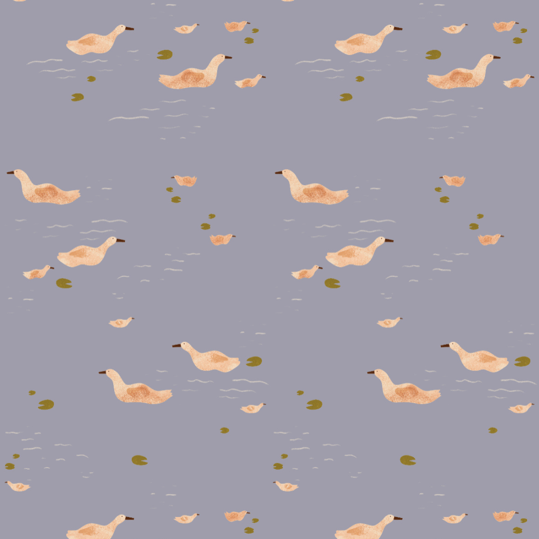 DUCKS