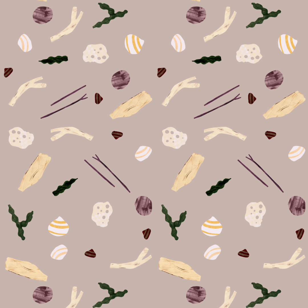 SEA AND SHELLS
