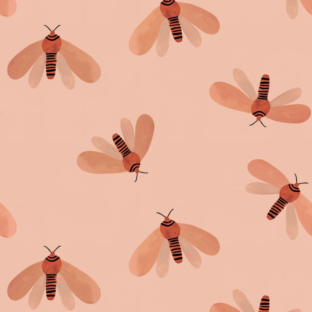MOTH