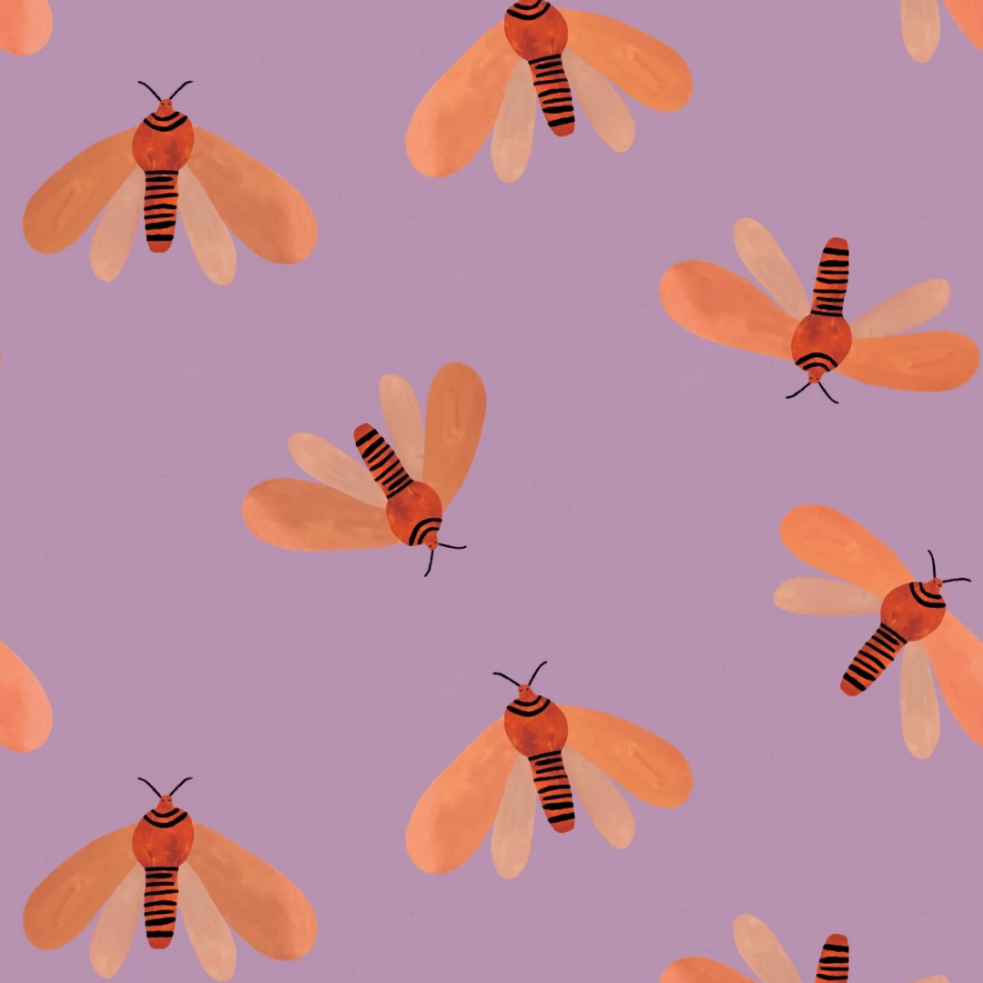 MOTH