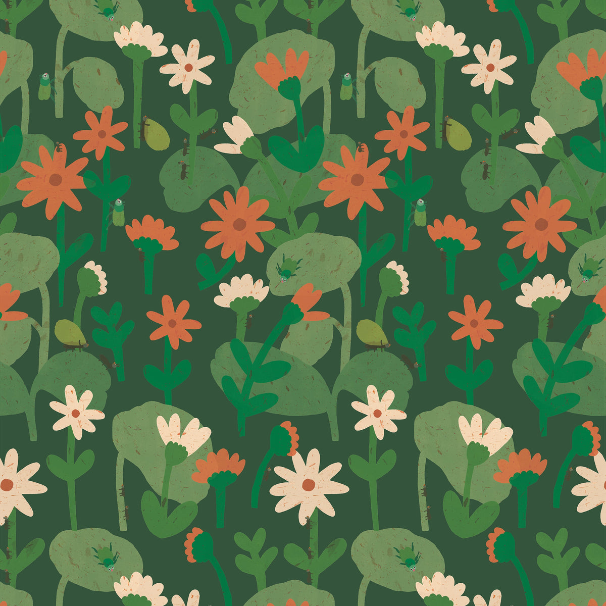 BLOOMING DAISIES