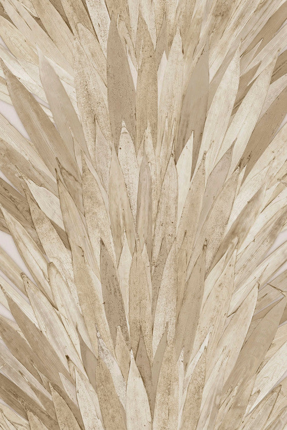 Arte ABANICO – Crème / Bruin - 34004 – 34004