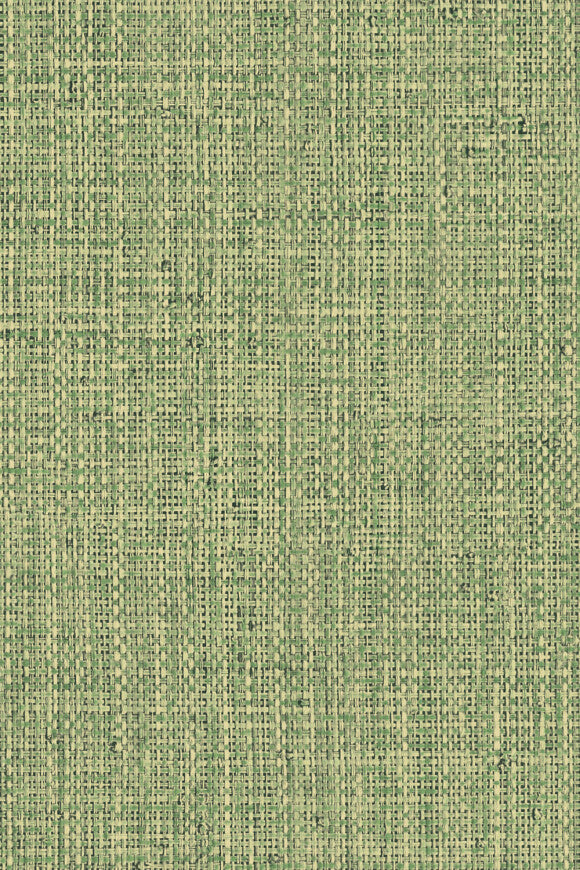 Arte NONGO – Olive - 49517A – 49517A