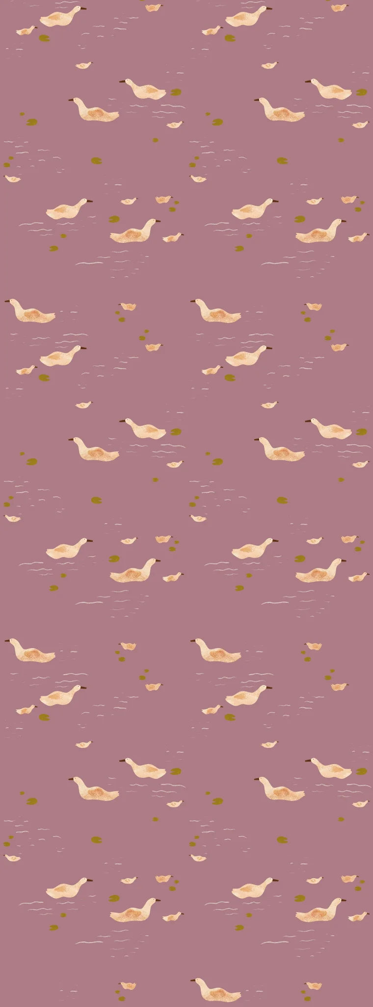DUCKS