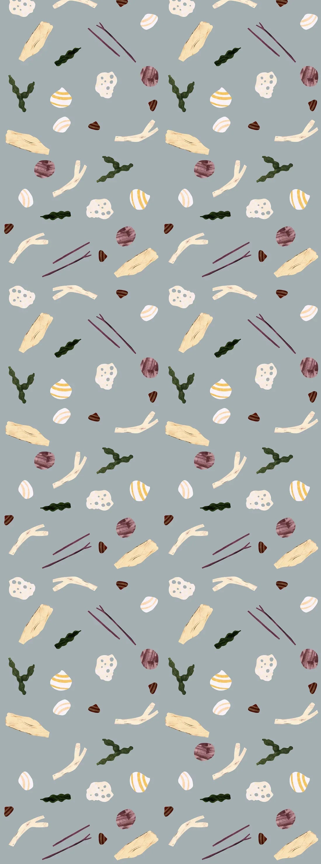 SEA AND SHELLS
