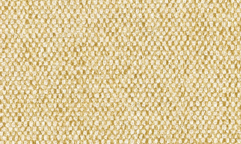 Arte Nelson Dandelion Arte Nelson Dandelion