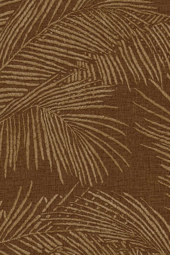 Maui Walnut Maui Walnut