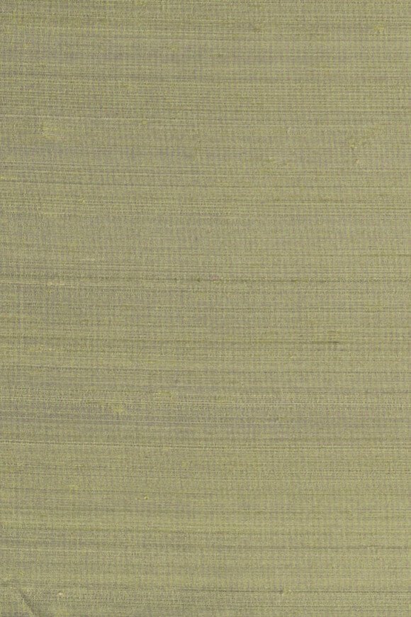 Papillon Olive Green Papillon Olive Green
