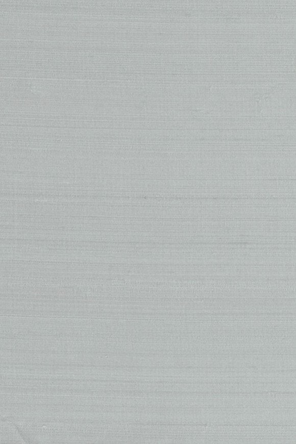 Papillon Pale Blue Papillon Pale Blue