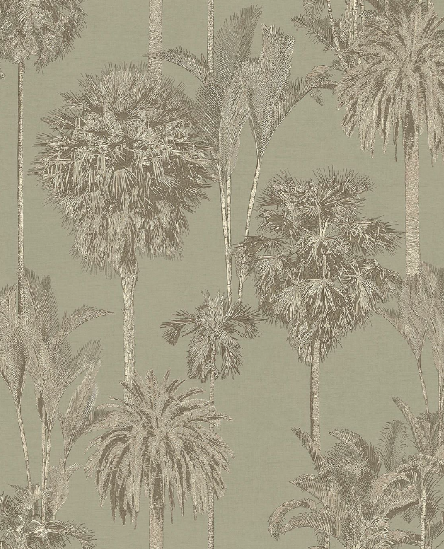 Oasis 317324