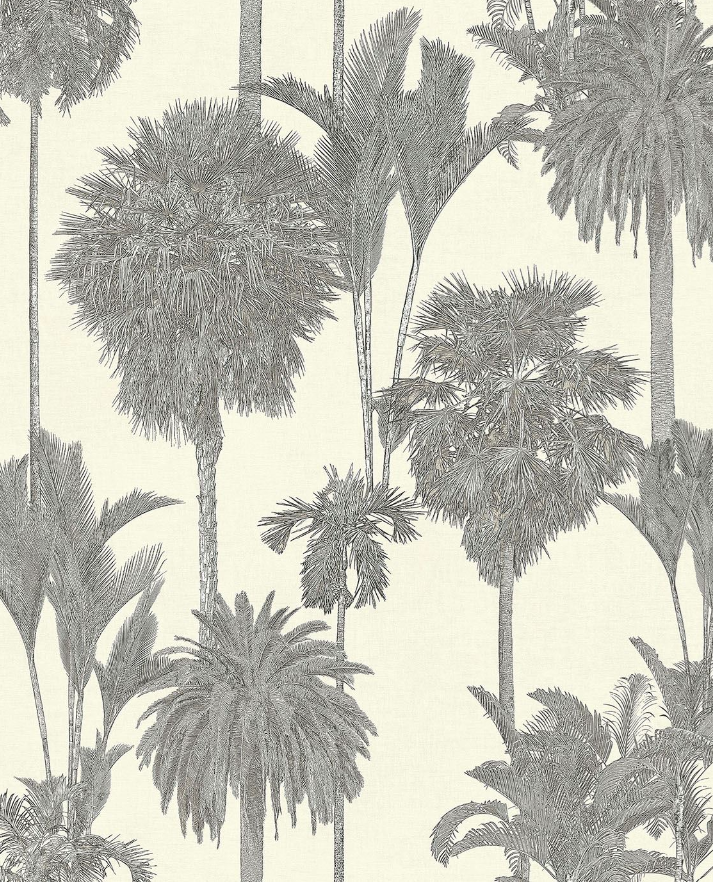Oasis 317326