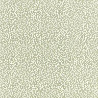 Junie Aloe Junie Aloe