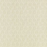 Remi Caper Remi Caper